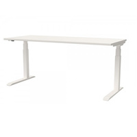 Premium Electric ERGO4 Sit-to-Stand Desk  